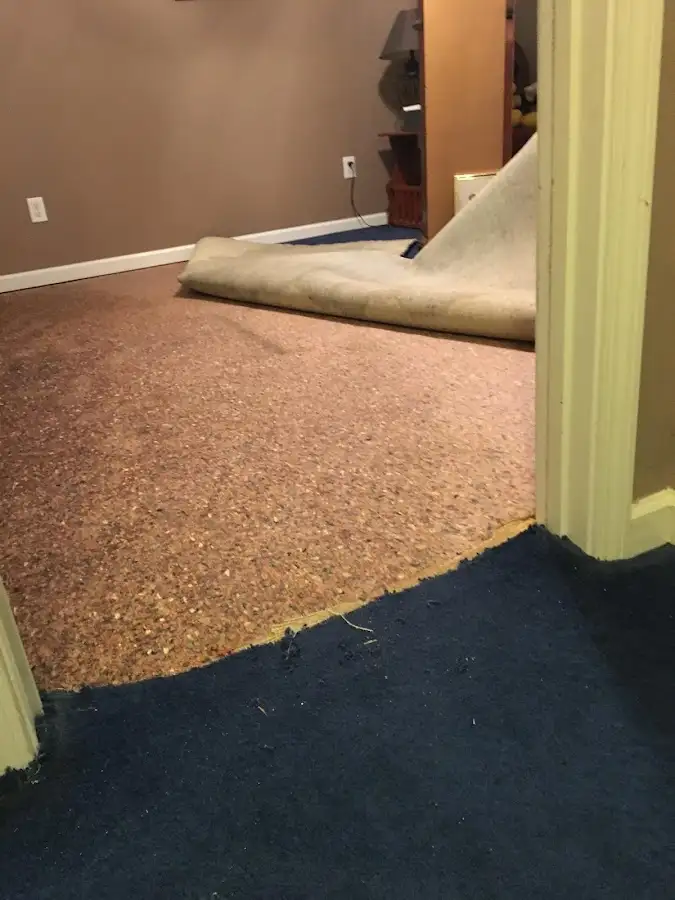 Carpet pad removal revealing water damage during Water Mitigation Services in Mentor